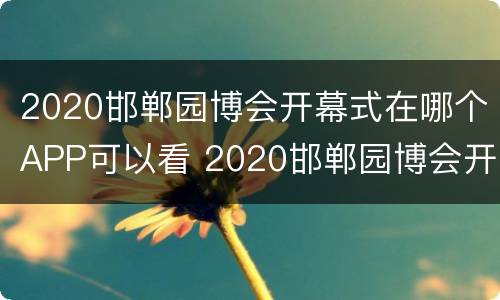 2020邯郸园博会开幕式在哪个APP可以看 2020邯郸园博会开幕式在哪个app可以看到
