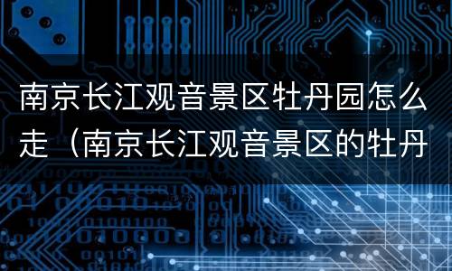 南京长江观音景区牡丹园怎么走（南京长江观音景区的牡丹园）