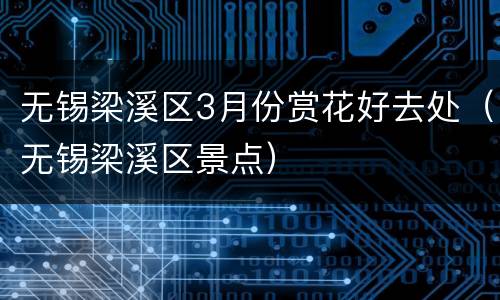 无锡梁溪区3月份赏花好去处（无锡梁溪区景点）