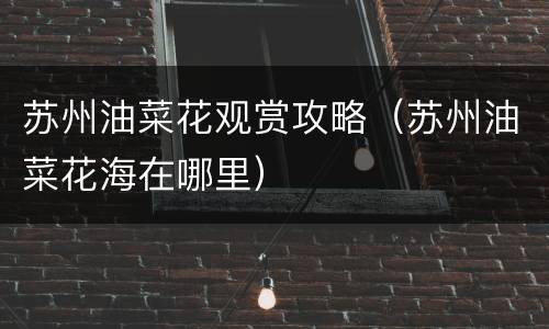 苏州油菜花观赏攻略（苏州油菜花海在哪里）