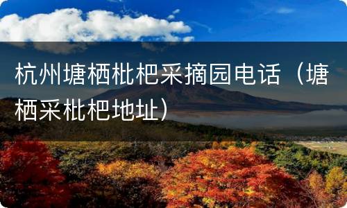 杭州塘栖枇杷采摘园电话（塘栖采枇杷地址）