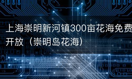 上海崇明新河镇300亩花海免费开放（崇明岛花海）