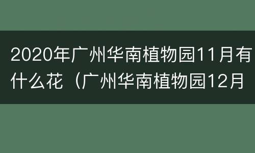2020年广州华南植物园11月有什么花（广州华南植物园12月有什么花开呢）