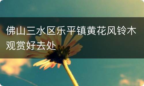 佛山三水区乐平镇黄花风铃木观赏好去处