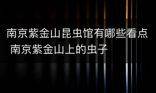 南京紫金山昆虫馆有哪些看点 南京紫金山上的虫子