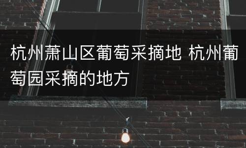 杭州萧山区葡萄采摘地 杭州葡萄园采摘的地方