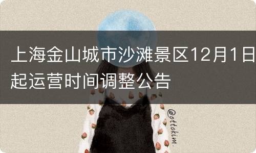 上海金山城市沙滩景区12月1日起运营时间调整公告
