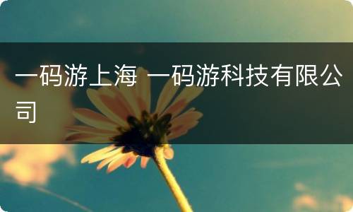 一码游上海 一码游科技有限公司