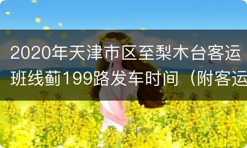 2020年天津市区至梨木台客运班线蓟199路发车时间（附客运公司咨询电话）