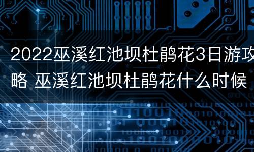 2022巫溪红池坝杜鹃花3日游攻略 巫溪红池坝杜鹃花什么时候开