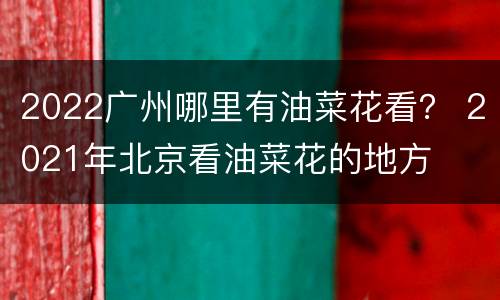 2022广州哪里有油菜花看？ 2021年北京看油菜花的地方