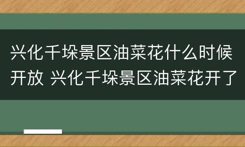 兴化千垛景区油菜花什么时候开放 兴化千垛景区油菜花开了吗