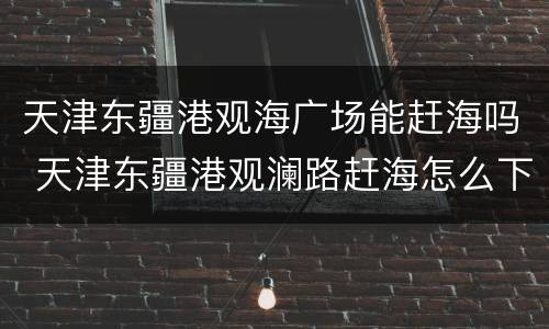 天津东疆港观海广场能赶海吗 天津东疆港观澜路赶海怎么下去