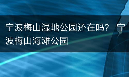 宁波梅山湿地公园还在吗？ 宁波梅山海滩公园