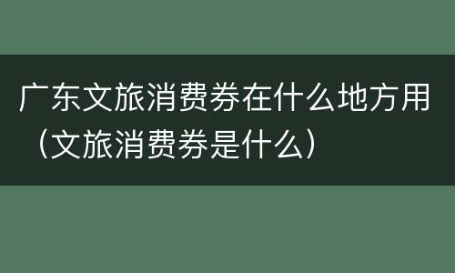 广东文旅消费券在什么地方用（文旅消费券是什么）
