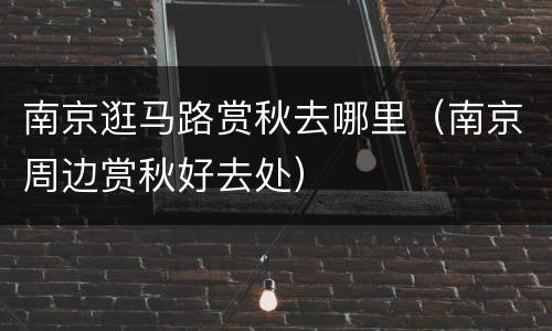 南京逛马路赏秋去哪里（南京周边赏秋好去处）