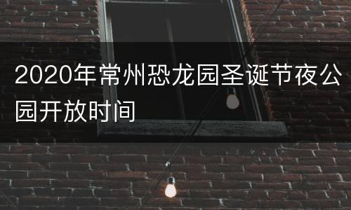 2020年常州恐龙园圣诞节夜公园开放时间