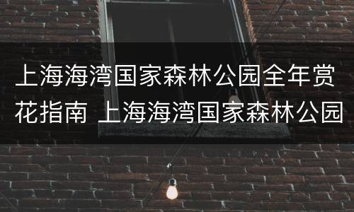 上海海湾国家森林公园全年赏花指南 上海海湾国家森林公园游玩项目