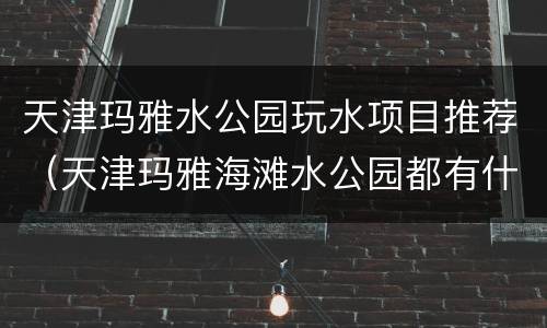 天津玛雅水公园玩水项目推荐（天津玛雅海滩水公园都有什么项目）