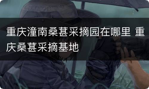 重庆潼南桑葚采摘园在哪里 重庆桑葚采摘基地