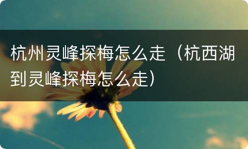 杭州灵峰探梅怎么走（杭西湖到灵峰探梅怎么走）