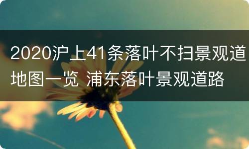 2020沪上41条落叶不扫景观道地图一览 浦东落叶景观道路