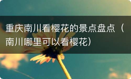 重庆南川看樱花的景点盘点（南川哪里可以看樱花）