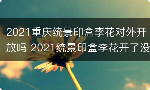 2021重庆统景印盒李花对外开放吗 2021统景印盒李花开了没有