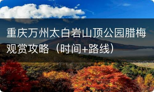 重庆万州太白岩山顶公园腊梅观赏攻略（时间+路线）