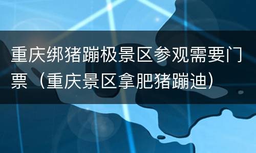 重庆绑猪蹦极景区参观需要门票（重庆景区拿肥猪蹦迪）
