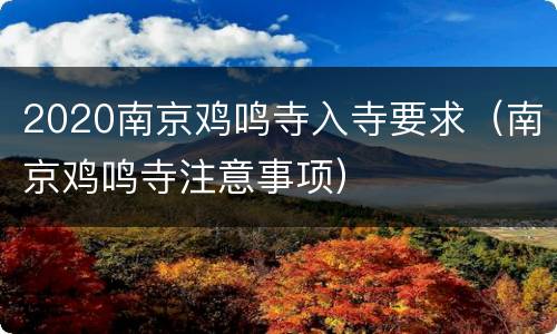 2020南京鸡鸣寺入寺要求（南京鸡鸣寺注意事项）