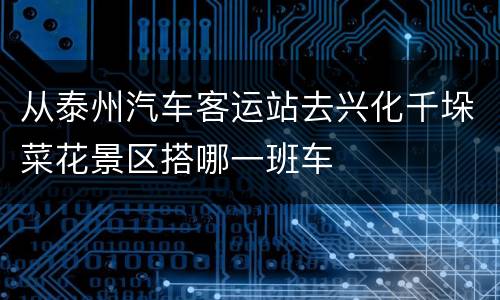 从泰州汽车客运站去兴化千垛菜花景区搭哪一班车