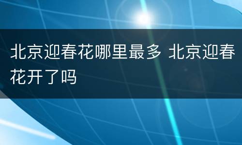 北京迎春花哪里最多 北京迎春花开了吗