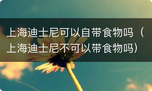 上海迪士尼可以自带食物吗（上海迪士尼不可以带食物吗）