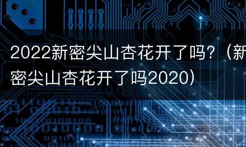 2022新密尖山杏花开了吗?（新密尖山杏花开了吗2020）
