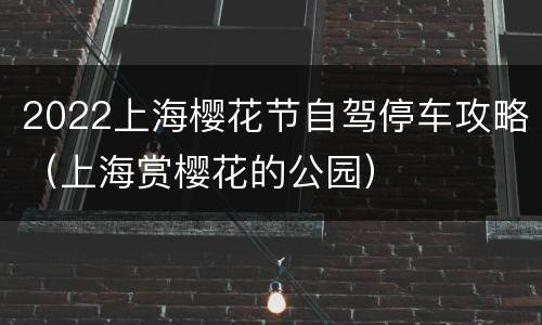 2022上海樱花节自驾停车攻略（上海赏樱花的公园）