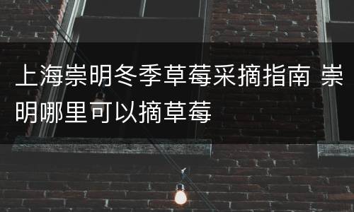 上海崇明冬季草莓采摘指南 崇明哪里可以摘草莓