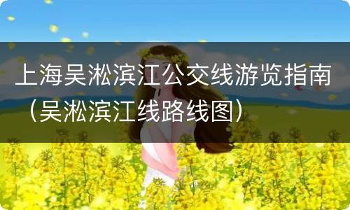 上海吴淞滨江公交线游览指南（吴淞滨江线路线图）