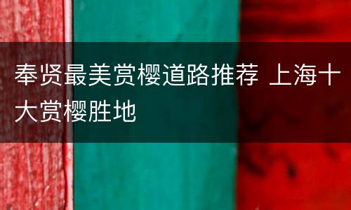奉贤最美赏樱道路推荐 上海十大赏樱胜地
