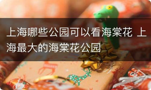 上海哪些公园可以看海棠花 上海最大的海棠花公园