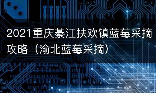 2021重庆綦江扶欢镇蓝莓采摘攻略（渝北蓝莓采摘）