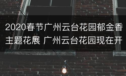 2020春节广州云台花园郁金香主题花展 广州云台花园现在开什么花