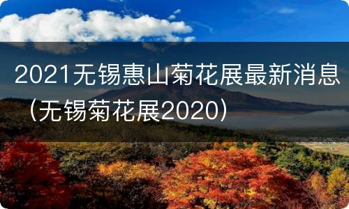 2021无锡惠山菊花展最新消息（无锡菊花展2020）