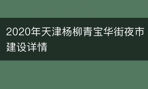 2020年天津杨柳青宝华街夜市建设详情