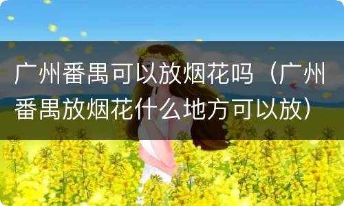 广州番禺可以放烟花吗（广州番禺放烟花什么地方可以放）