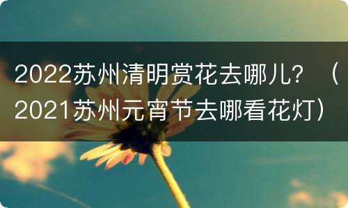 2022苏州清明赏花去哪儿？（2021苏州元宵节去哪看花灯）