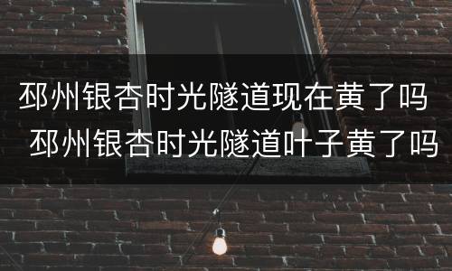 邳州银杏时光隧道现在黄了吗 邳州银杏时光隧道叶子黄了吗