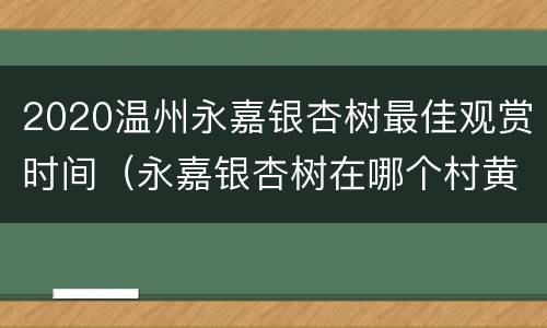 2020温州永嘉银杏树最佳观赏时间（永嘉银杏树在哪个村黄叶了）