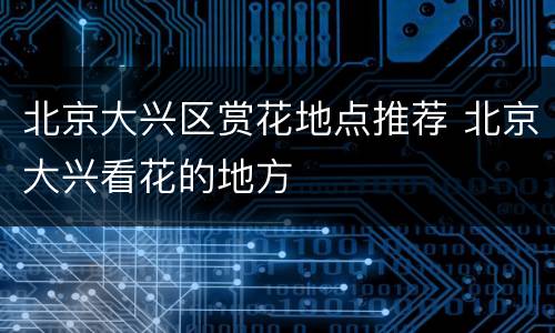 北京大兴区赏花地点推荐 北京大兴看花的地方