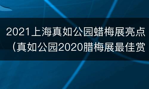 2021上海真如公园蜡梅展亮点（真如公园2020腊梅展最佳赏花期）